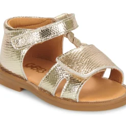 GBB - LORIE*