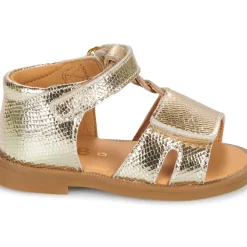 GBB - LORIE*