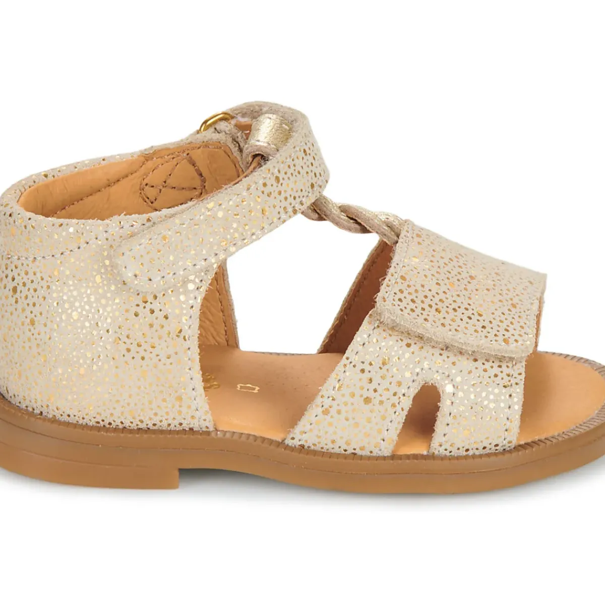 GBB - LORIE*