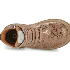 GBB - LOUNA