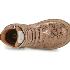 GBB - LOUNA