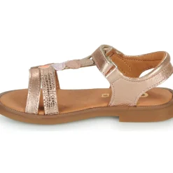 GBB - MAISIE