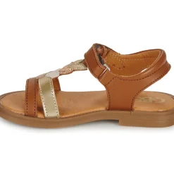 GBB - MAISIE