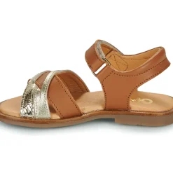 GBB - MELISSA