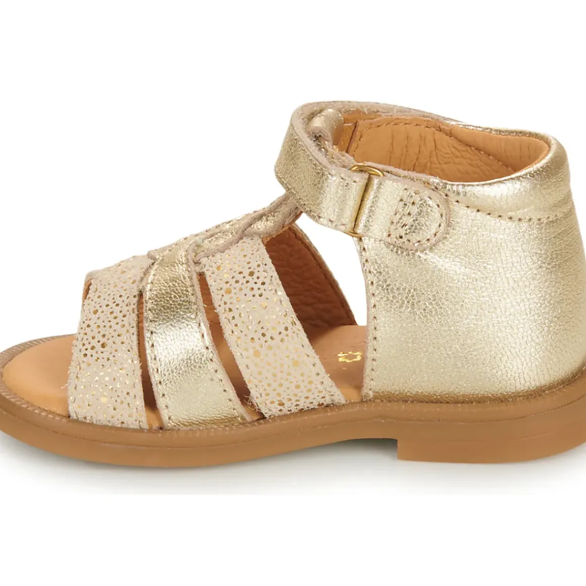 GBB - OLENA