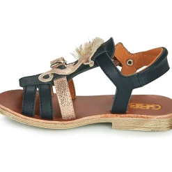 GBB - PALOMA