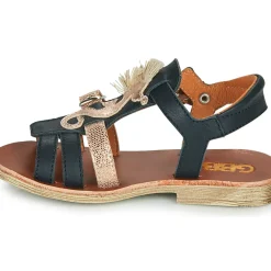 GBB - PALOMA