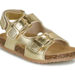 GBB - REBECCA