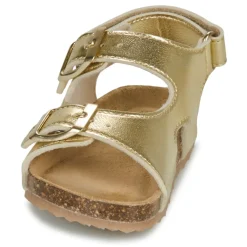 GBB - REBECCA