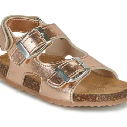 GBB - REBECCA