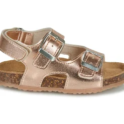 GBB - REBECCA