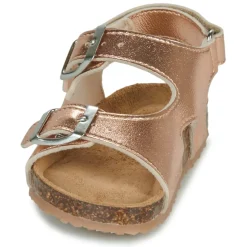 GBB - REBECCA