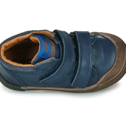 GBB - TERENCE