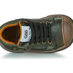 GBB - VAUBERT
