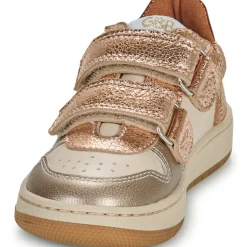 GBB - WANDA