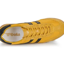 Gola - Tornado