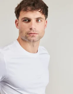 Guess - AIDY
