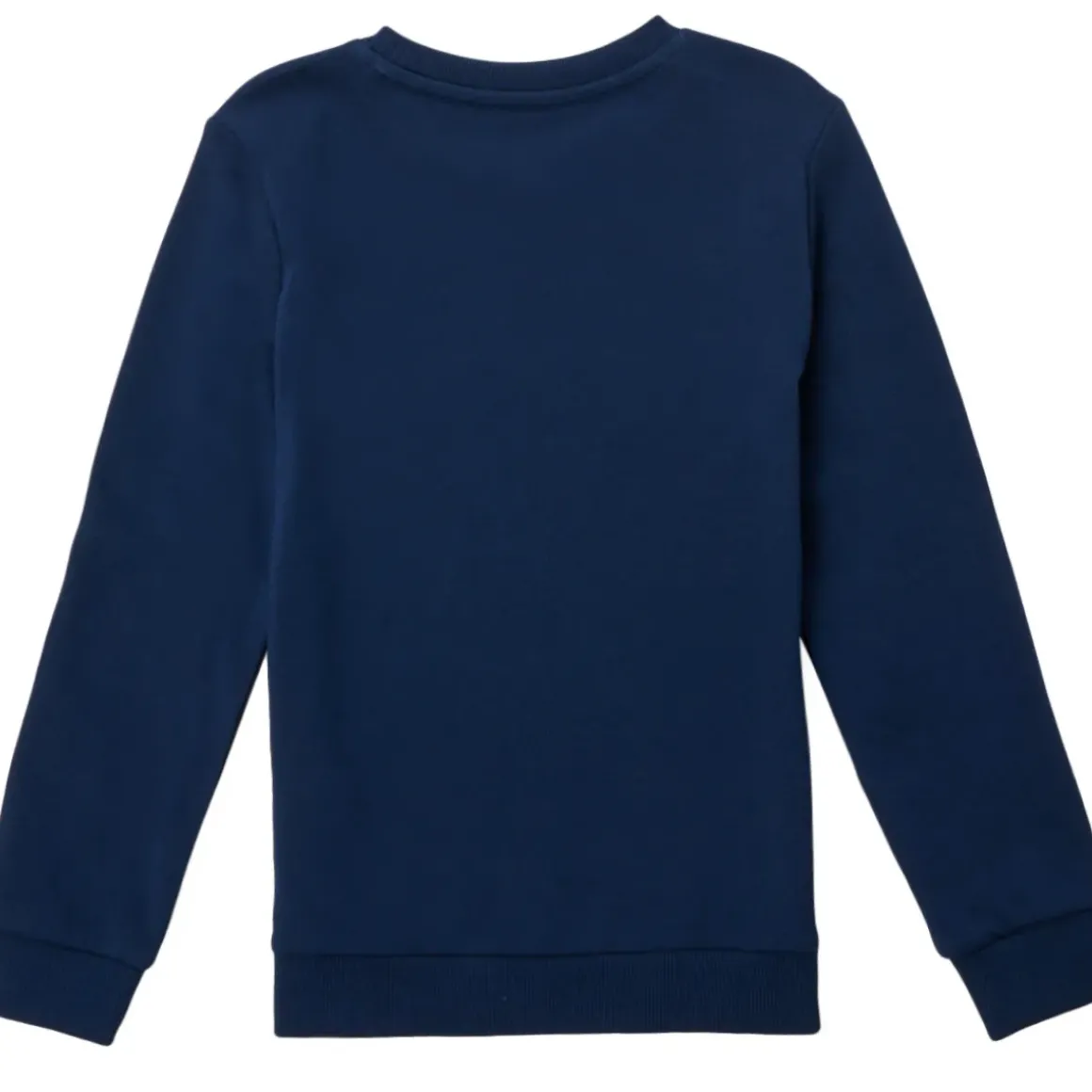 Guess - CANISE