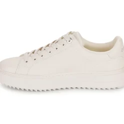 Guess - DENESA9