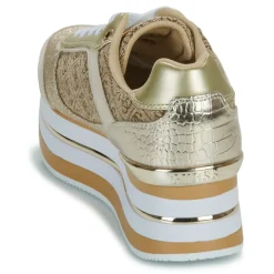 Guess - HANSIN 2