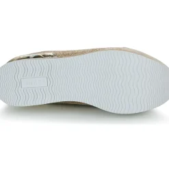 Guess - HANSIN 2