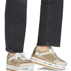 Guess - HANSIN 2