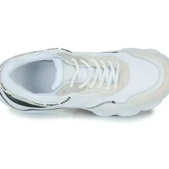 Guess - MICOLA