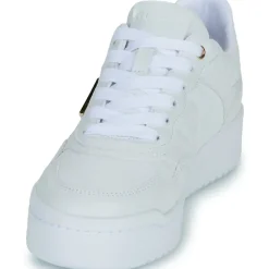 Guess - MIRAM6