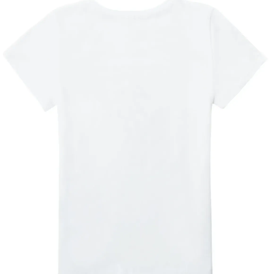 Guess - SECRA