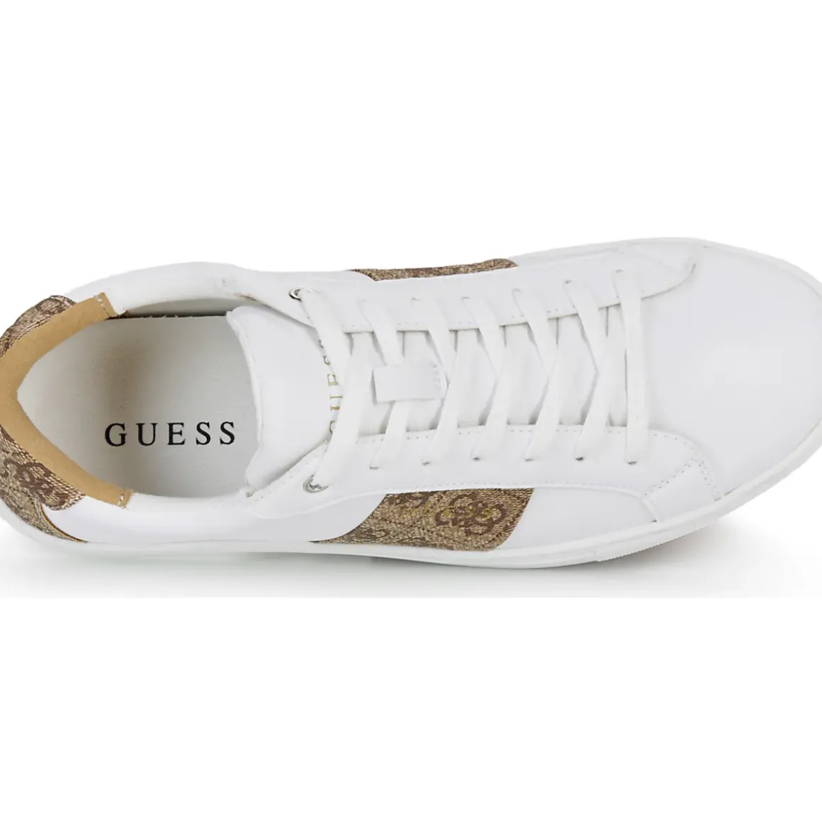 Guess - TODA