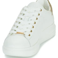 Guess - VIBO