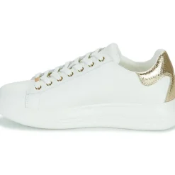 Guess - VIBO