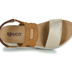 IgI&CO - 5677833