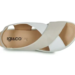 IgI&CO - 5668811
