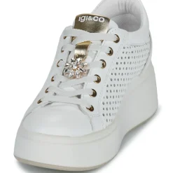 IgI&CO - D.ALLY