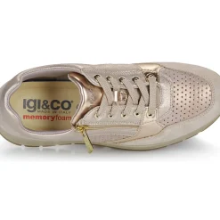 IgI&CO - D.ANIKA
