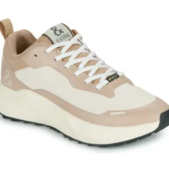 IgI&CO - D.KAIZEN & GTX