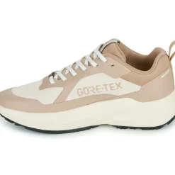 IgI&CO - D.KAIZEN & GTX
