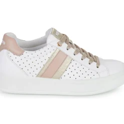 IgI&CO - DONNA AVA