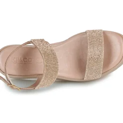 IgI&CO - DONNA ENGY