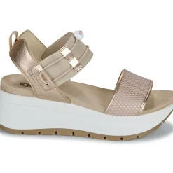 IgI&CO - D.SIRENA