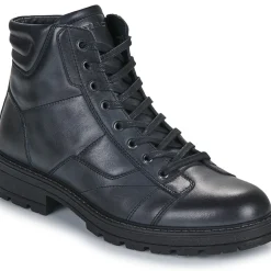IgI&CO - U.CONRAD