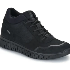 IgI&CO - U.EDO GTX