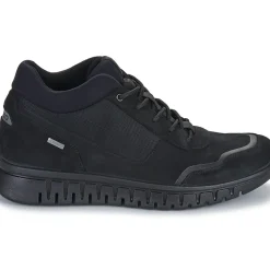 IgI&CO - U.EDO GTX