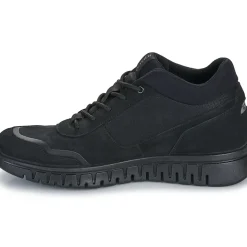 IgI&CO - U.EDO GTX