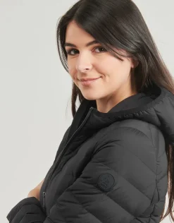 JOTT - SALMA