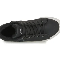 Kangaroos - KAVU I