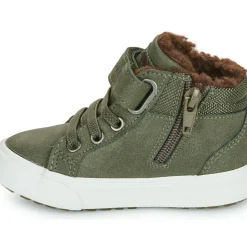 Kangaroos - Kavu III