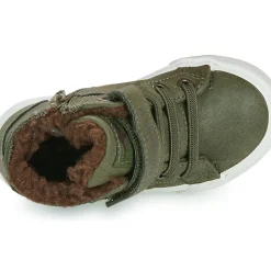 Kangaroos - Kavu III