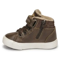 Kangaroos - KAVU III